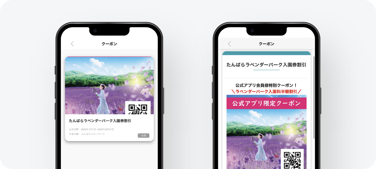 906331_coupon